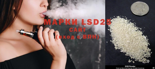 индика Армянск