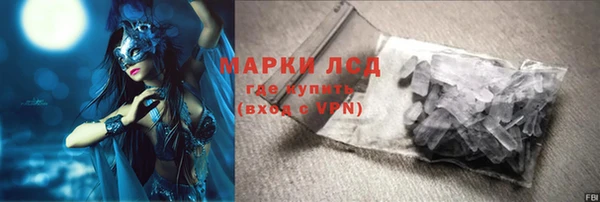 индика Армянск