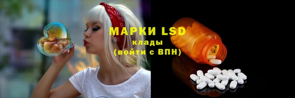 индика Армянск