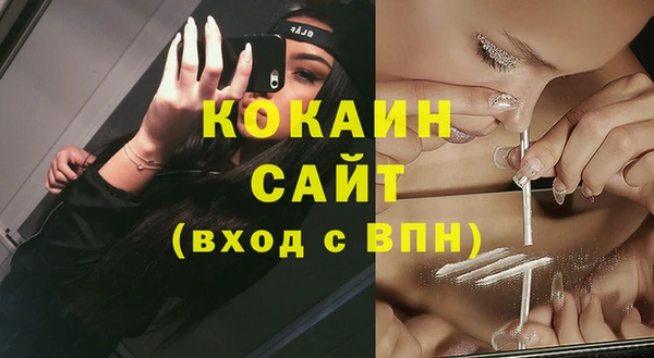 индика Армянск