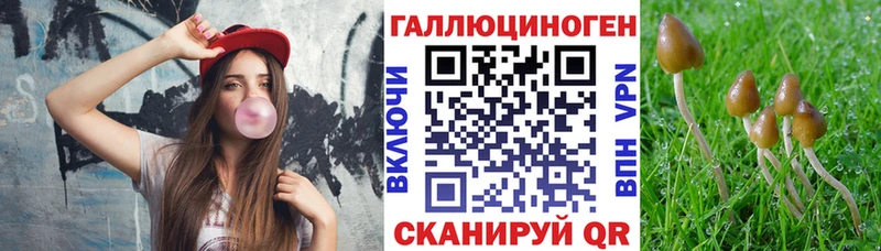 Галлюциногенные грибы ЛСД  Богданович 