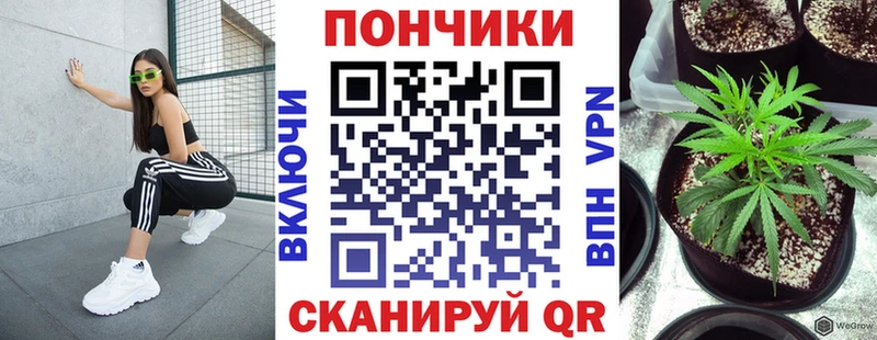 Канабис ГИДРОПОН Богданович